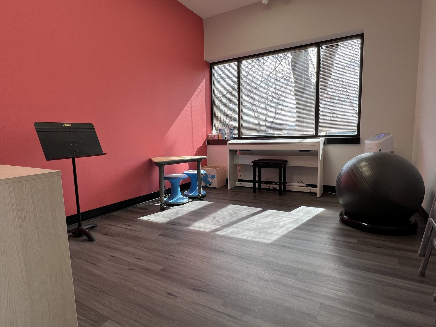 Red Treatment Room with 88 note piano, swing hook, table, wobble chairs, ball, and plenty of instruments