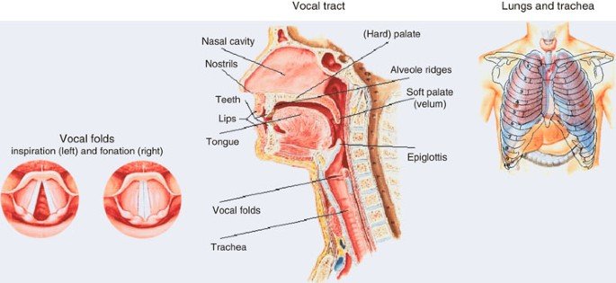 Speech Process